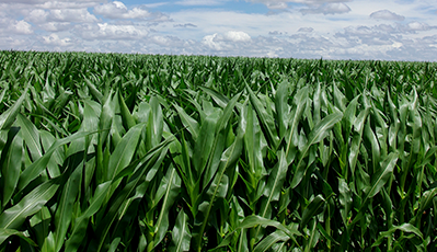 ��˹��--ȫ�����ݻ�����Ϸƽ̨