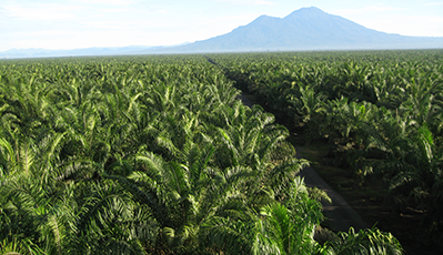 ��˹��--ȫ�����ݻ�����Ϸƽ̨