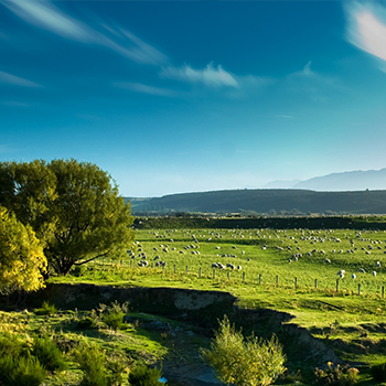 ��˹��--ȫ�����ݻ�����Ϸƽ̨