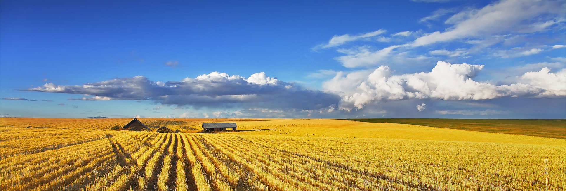 ��˹��--ȫ�����ݻ�����Ϸƽ̨