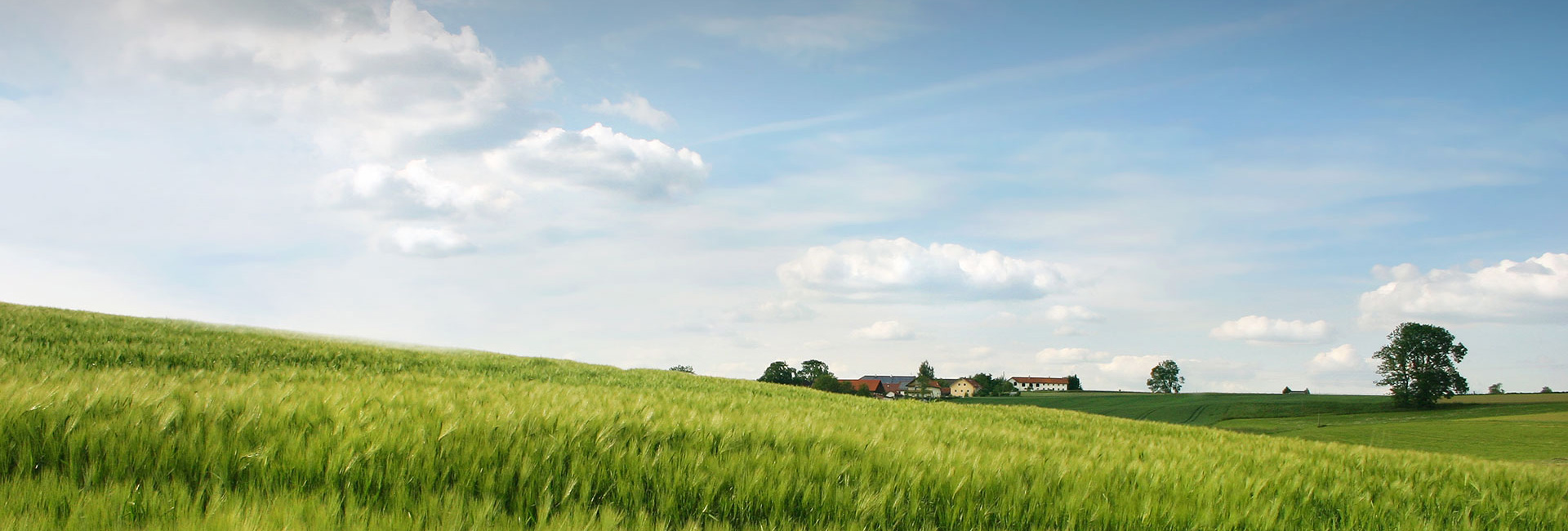 ��˹��--ȫ�����ݻ�����Ϸƽ̨