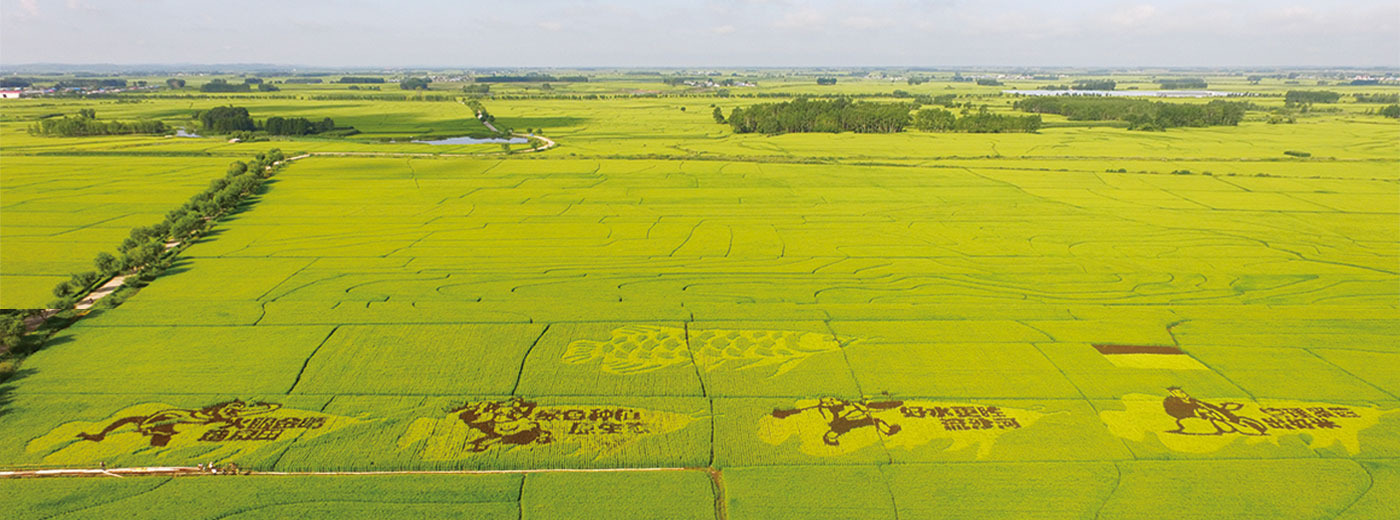 ��˹��--ȫ�����ݻ�����Ϸƽ̨