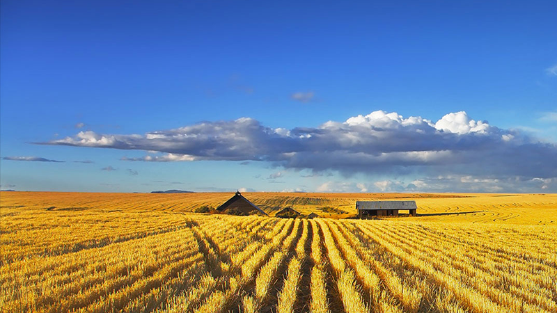 ��˹��--ȫ�����ݻ�����Ϸƽ̨