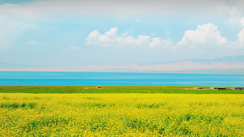 ��˹��--ȫ�����ݻ�����Ϸƽ̨