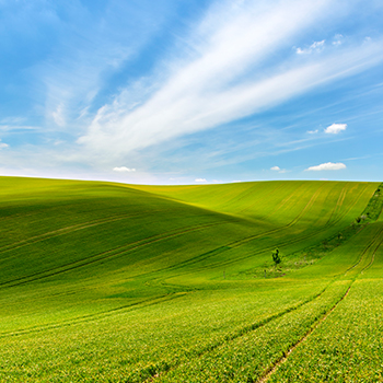 ��˹��--ȫ�����ݻ�����Ϸƽ̨