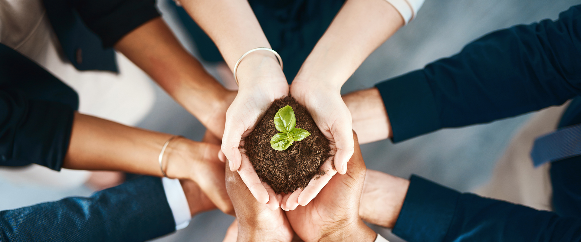 ��˹��--ȫ�����ݻ�����Ϸƽ̨