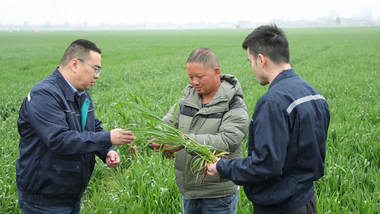 ��˹��--ȫ�����ݻ�����Ϸƽ̨