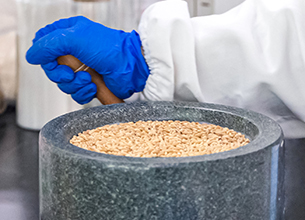 ��˹��--ȫ�����ݻ�����Ϸƽ̨